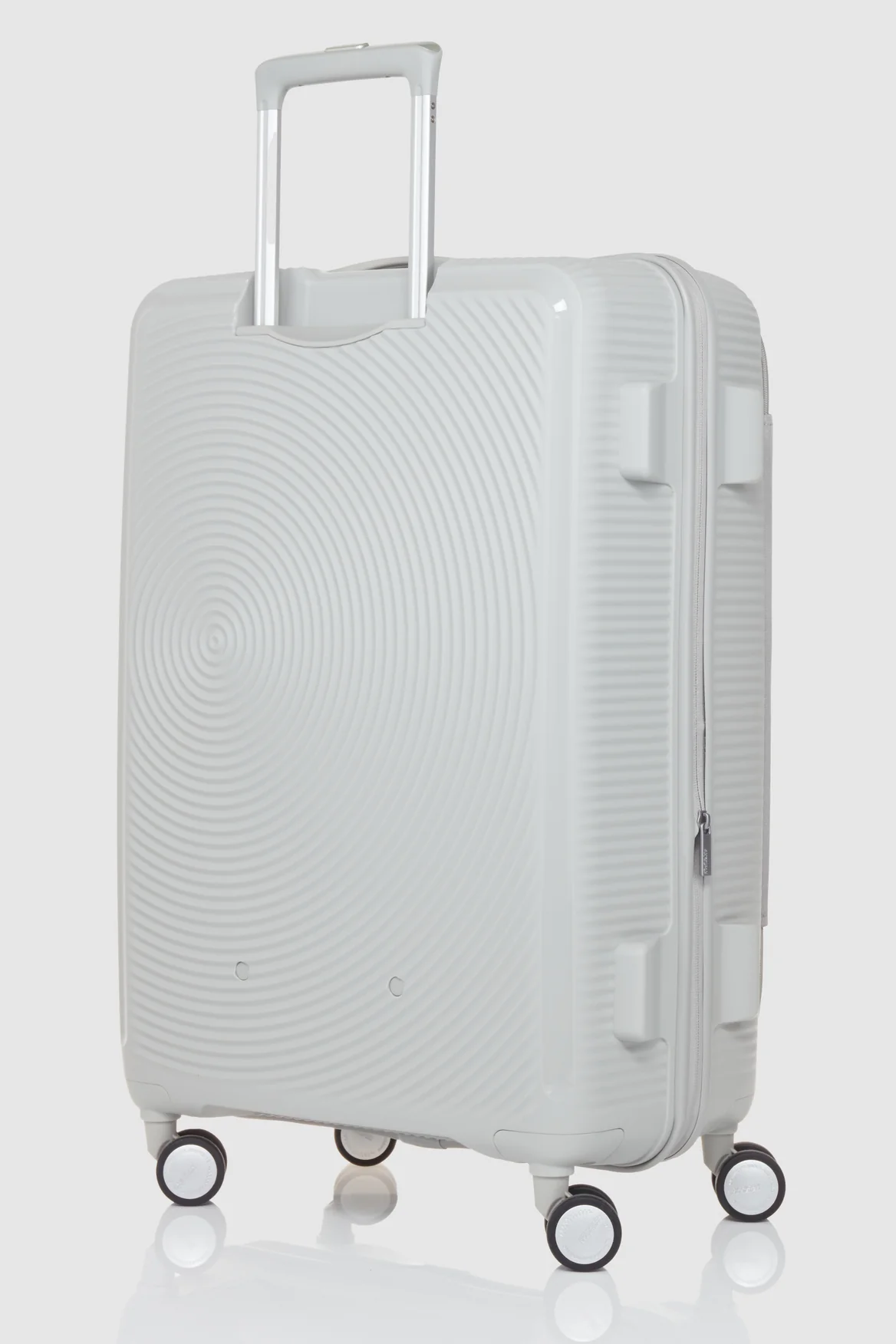 Curio Book 75cm Case - Image 5